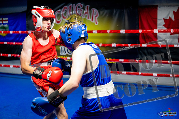 Cougar boxing June 7th 2025-0916