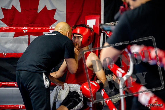Cougar boxing June 7th 2025-0825