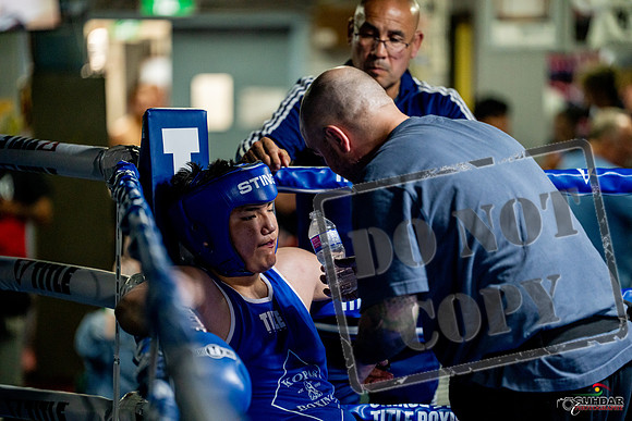Cougar boxing June 7th 2025-0725