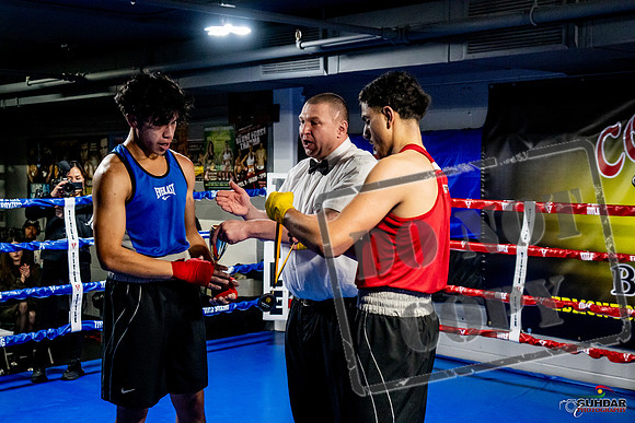 Cougar Boxing Basement Brawl -0689