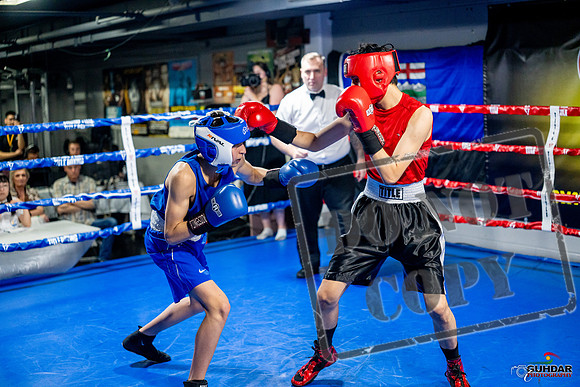 Cougar boxing June 7th 2025-0648