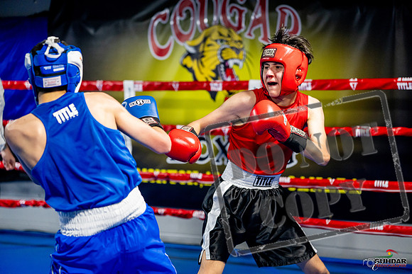 Cougar boxing June 7th 2025-0673