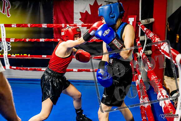 Cougar Boxing Basement Brawl -0558