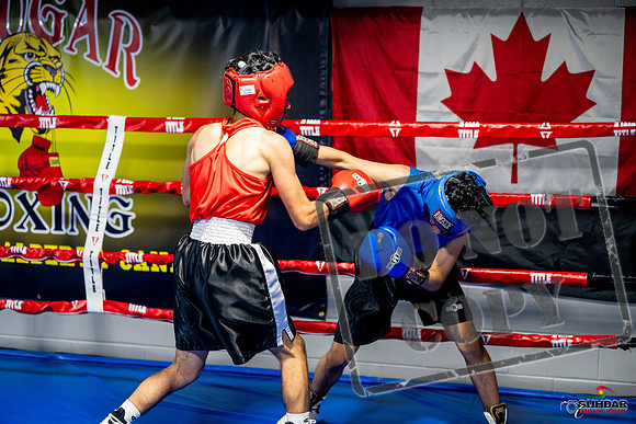 Cougar boxing June 7th 2025-0226