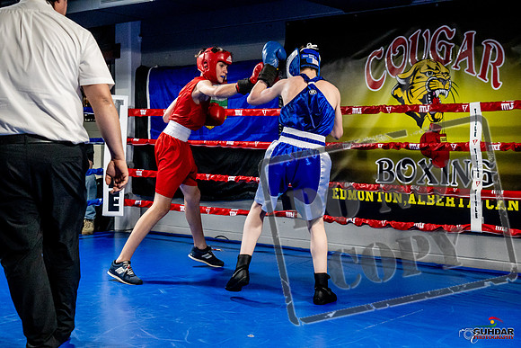 Cougar Boxing Basement Brawl -0202