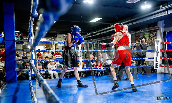 Cougar Boxing Basement Brawl -0120