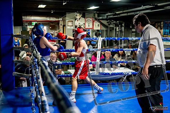 Cougar Boxing Basement Brawl -0493
