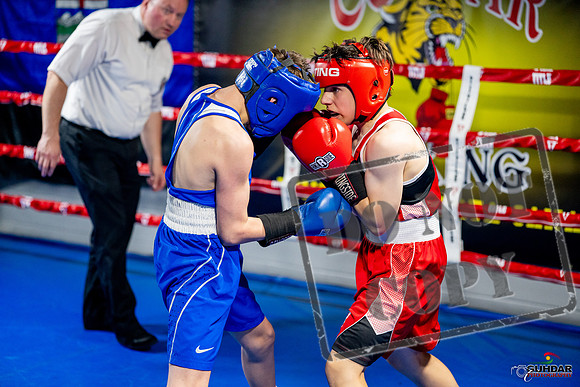 Cougar boxing June 7th 2025-0547