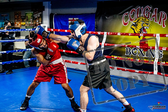 Cougar Boxing Basement Brawl -0390
