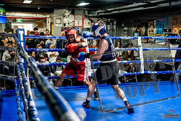 Cougar Boxing Basement Brawl -0406