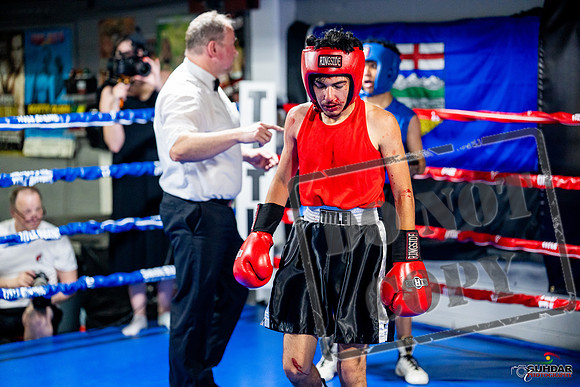 Cougar boxing June 7th 2025-0248