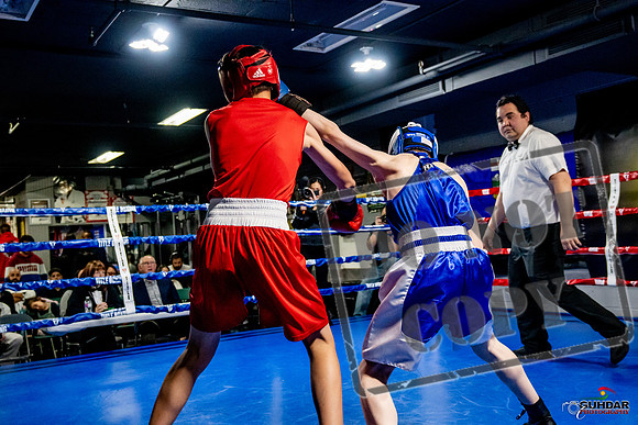 Cougar Boxing Basement Brawl -0180