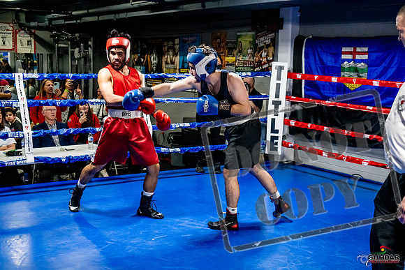 Cougar Boxing Basement Brawl -0427