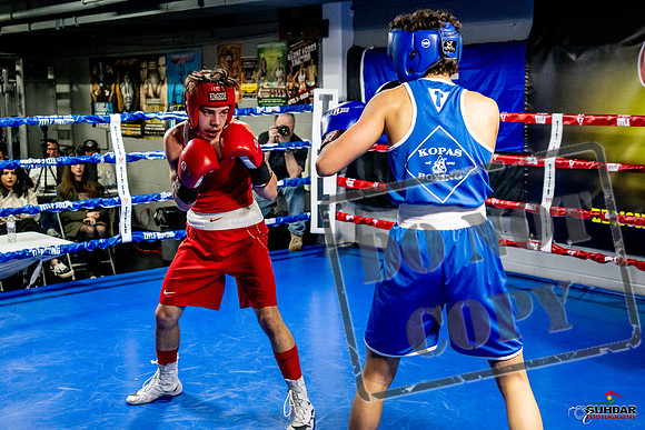 Cougar Boxing Basement Brawl -0471