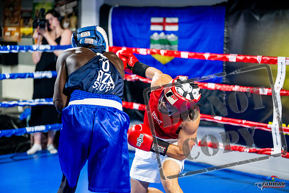 Cougar boxing June 7th 2025-0472