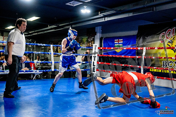 Cougar Boxing Basement Brawl -0188