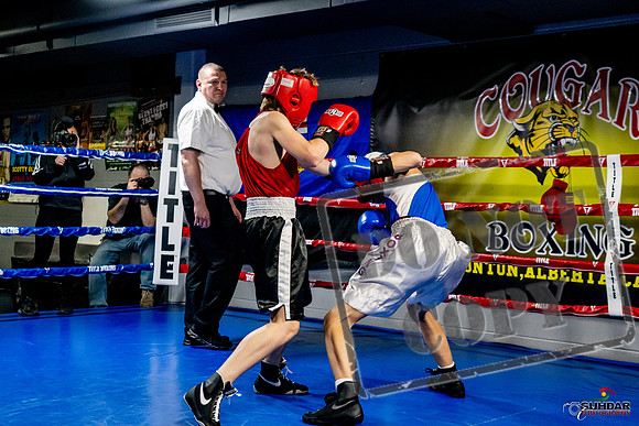 Cougar Boxing Basement Brawl -0150