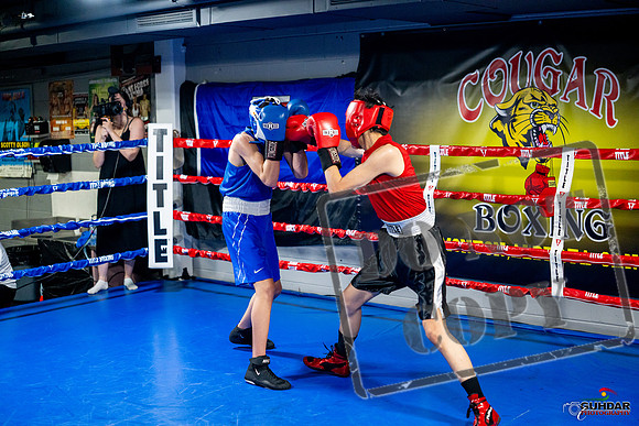 Cougar boxing June 7th 2025-0662