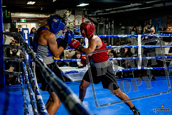 Cougar Boxing Basement Brawl -0661