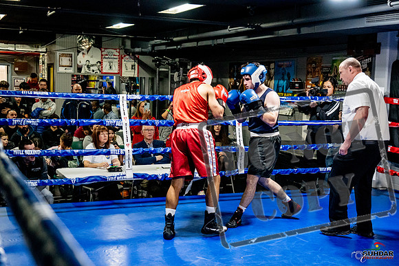 Cougar Boxing Basement Brawl -0402