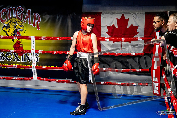 Cougar Boxing Basement Brawl -0136