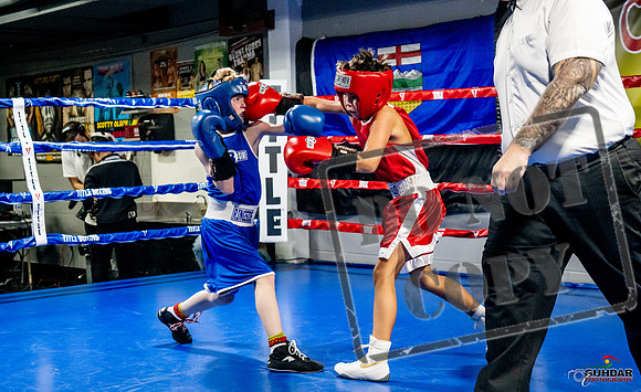 Cougar Boxing Basement Brawl -0095