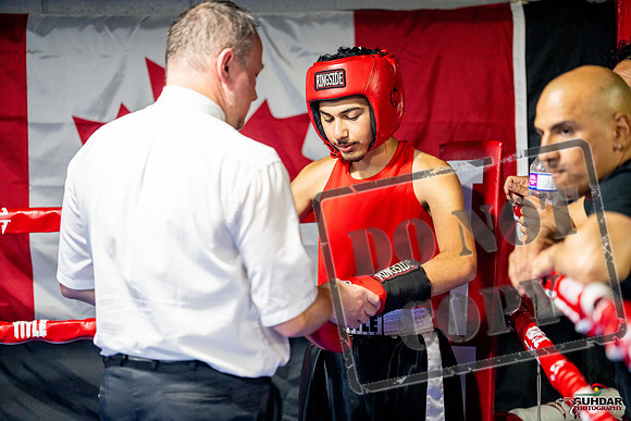 Cougar boxing June 7th 2025-0159