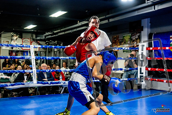 Cougar Boxing Basement Brawl -0256