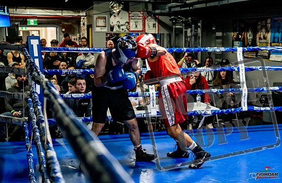 Cougar Boxing Basement Brawl -0401