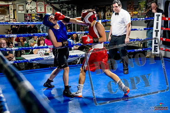 Cougar Boxing Basement Brawl -0482