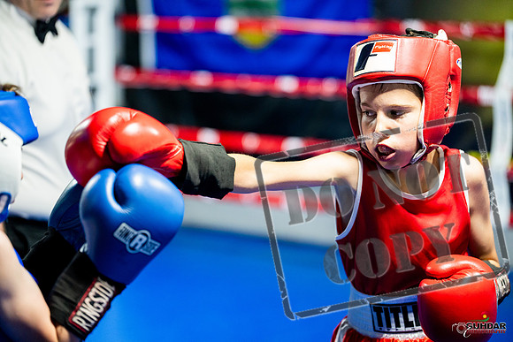 Cougar boxing June 7th 2025-0077