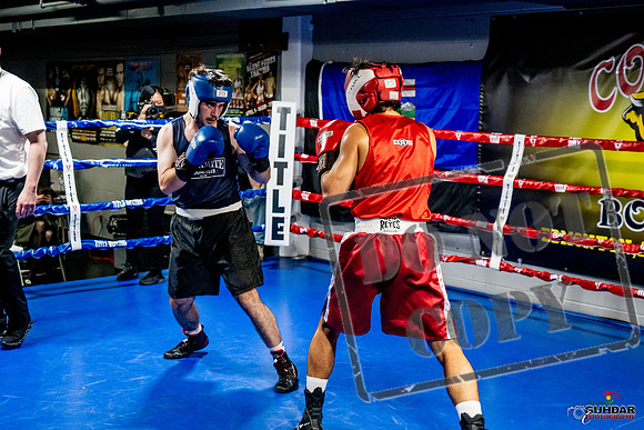 Cougar Boxing Basement Brawl -0388