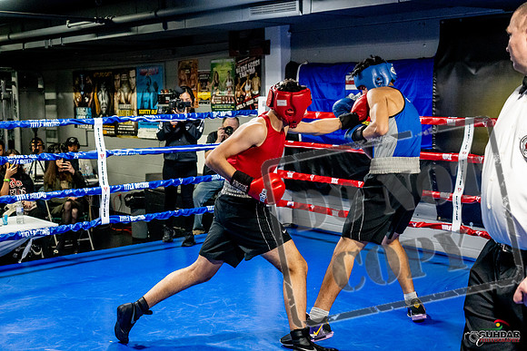 Cougar Boxing Basement Brawl -0669