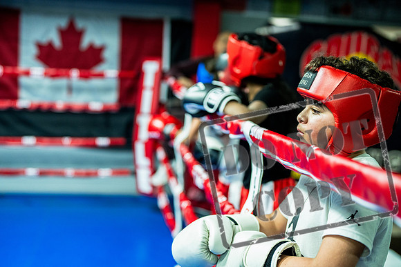 Cougar Boxing -0016
