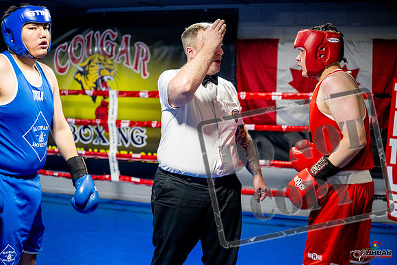 Cougar boxing June 7th 2025-0721