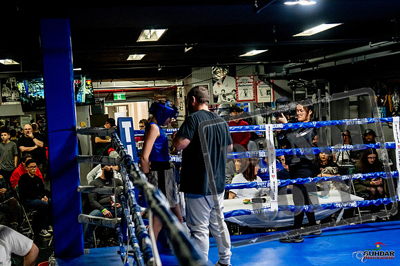 Cougar Boxing Basement Brawl -0579