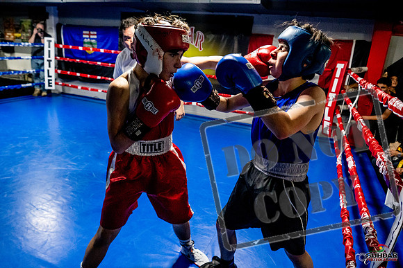 Cougar Boxing Basement Brawl -0497