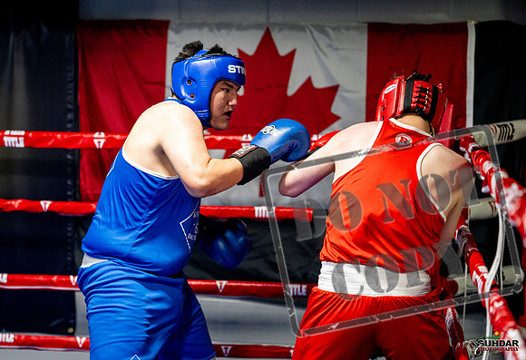 Cougar boxing June 7th 2025-0770
