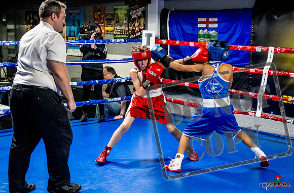 Cougar Boxing Basement Brawl -0329