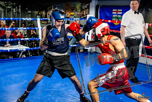 Cougar Boxing Basement Brawl -0366