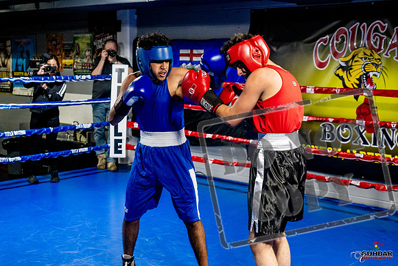 Cougar Boxing Basement Brawl -0639