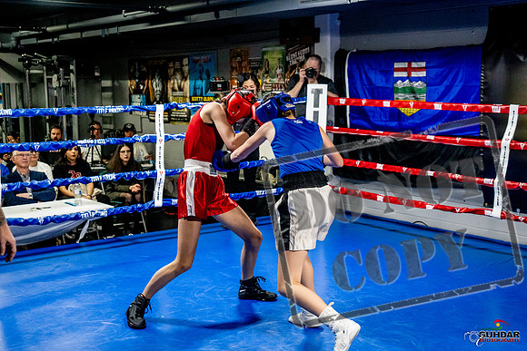 Cougar Boxing Basement Brawl -0591