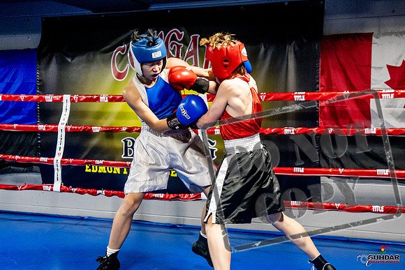 Cougar Boxing Basement Brawl -0161