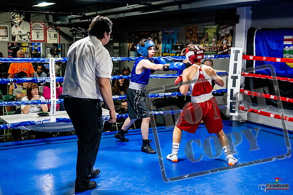 Cougar Boxing Basement Brawl -0503
