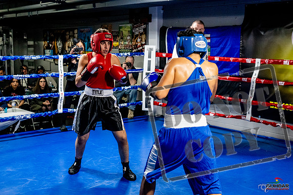 Cougar Boxing Basement Brawl -0611