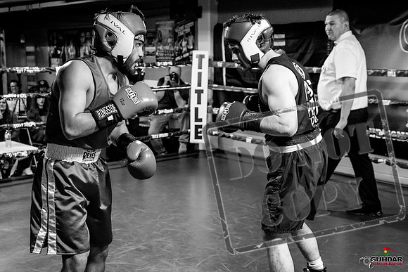 Cougar Boxing Basement Brawl -0423