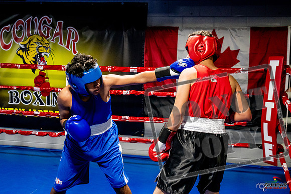 Cougar Boxing Basement Brawl -0637