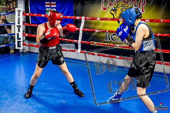 Cougar Boxing Basement Brawl -0560