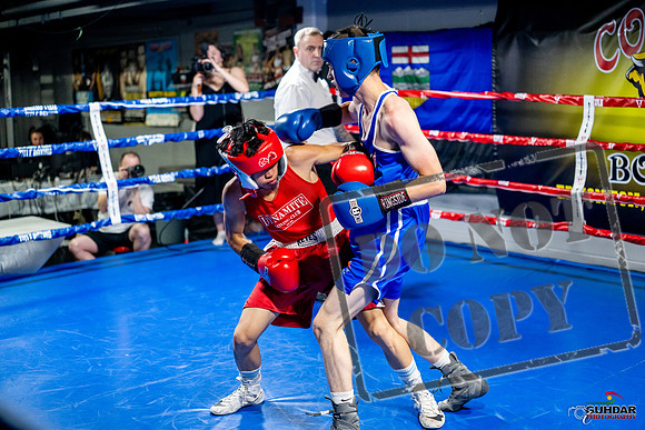 Cougar boxing June 7th 2025-0146