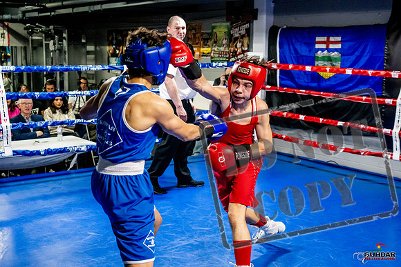 Cougar Boxing Basement Brawl -0454